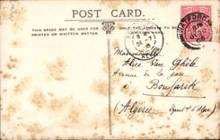 CPA Miss Phyliss Dare 