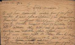 VINTAGE POSTCARD Fantasy Illustrator (drawing with the hand) (on wood) Flowers