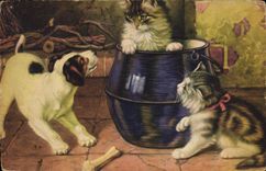 CPA Chat Chats Chaton Chien Chiot 