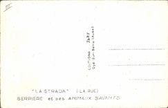 CPA Chat Chats Chaton La Strada (La Rue) Serriere et ses animaux savants 