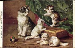 CPA Chat Chats Chaton Sous l'oeil maternel Maroc 
