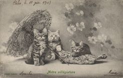 CPA Chat Chats Chaton Notre villegiature 