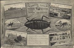 VINTAGE POSTCARD Militaria Marketing year 1915 1917 Kingdom of the cockroach Extreme Southern Tunisian Morocco