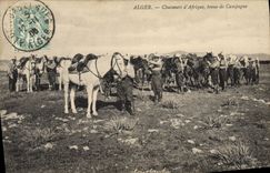 CPA Militaria Alger Chasseurs d'Afrique Tenue de campagne
