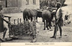VINTAGE POSTCARD negro Black Man Missions of Africa an indigenous coach