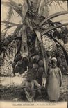 VINTAGE POSTCARD negro Black Man African Colonies In the shade of the coconut