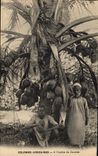 VINTAGE POSTCARD negro Black Man African Colonies In the shade of a coconut