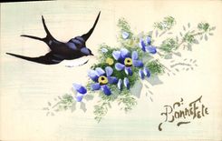 VINTAGE POSTCARD Drawing with the hand Flowers Swallow