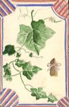 VINTAGE POSTCARD Drawing with the hand Vine Flags
