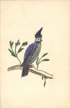 CPA Dessin a la main Oiseau