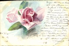 VINTAGE POSTCARD Drawing with the hand Rose Flowers