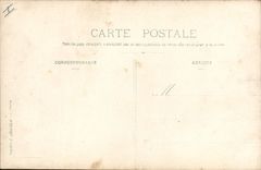 CARTE PHOTO Chat chats Chaton 