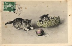 CPA Chat chats Chaton 