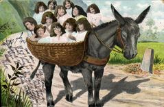 CPA Fantaisie Enfant Bebe Ane Mule