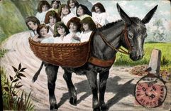 CPA Fantaisie Enfant Bebe Ane Mule