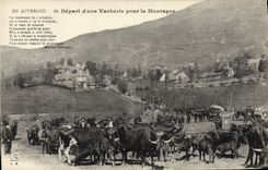 CPA Folklore Auvergne Depart d'une vacherie pour la montagne Vaches