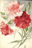 VINTAGE POSTCARD on blotting paper Drawing with the hand flowers