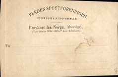 VINTAGE POSTCARD Numedal Theater