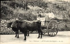 CPA Folklore Attelage rustique