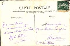 VINTAGE POSTCARD Drawing with the hand Houx Flowers