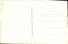 VINTAGE POSTCARD Napoleon History 1st First Consul