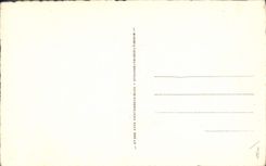 CPA Agnes sorel ou Soreau