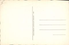 VINTAGE POSTCARD Viscount of Chateaubriant Writer