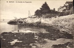 VINTAGE POSTCARD Dove Royan Pigeon fancying the conche of the pigeon one