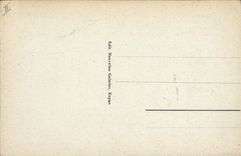 VINTAGE POSTCARD Dove Royan Pigeon fancying the conche of the pigeon one