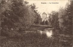 VINTAGE POSTCARD Dove Dangeau Pigeon fancying the dovecote