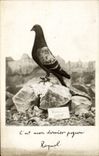CPA Colombe Colombophilie Colombogramme du commandant Raynal Fort de Vaux Militaria 