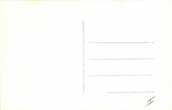 VINTAGE POSTCARD Darben Birds Its birds actors Parakeets