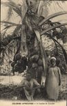 CPA Negre Homme Noir Colonies Africaines A l'ombre du cocotier