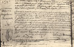 VINTAGE POSTCARD Napoleon 1st Baptismal certificate of Napoleon Bonaparte Ajaccio