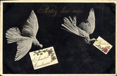 CPA Colombe Colombophilie 