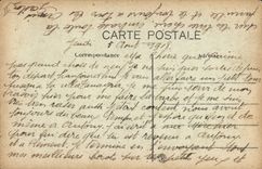 VINTAGE POSTCARD Dove Royan Pigeon fancying rocks of pigeon Against day