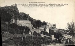 VINTAGE POSTCARD Dove Pigeon fancying Teil pigeon Ruins of a strong castle