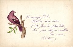 CPA Oiseau