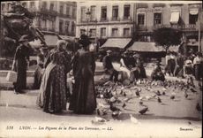 CPA Colombe Colombophilie Lyon Les pigeons de la Place des Terreaux