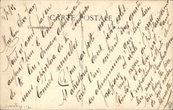 VINTAGE POSTCARD Colombe Lyon Pigeon fancying let us trap Them place of the Composts and the Batholdi fountain