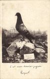 CPA Colombe Colombophilie Colombogramme du commandant Raynal Militaria