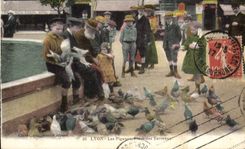 CPA Colombe Colombophilie Lyon Les Pigeons Place des Terreaux Enfants