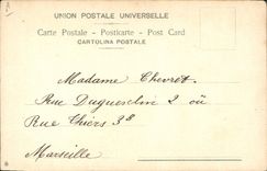 VINTAGE POSTCARD Dove Pigeon fancying (chart toilee)