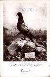 CPA Colombe Colombophilie Colombogramme du commandant Raynal Militaria