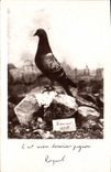 CPA Colombe Colombophilie Colombogramme du commandant Raynal Militaria