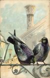 CPA Colombe Colombophilie Pigeons