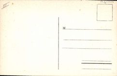 CPA Colombe Colombophilie Langres Le colombier militaire Militaria