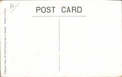 CPA Negre Enfant de couleur Chien