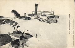 VINTAGE POSTCARD a house Eskimo Alaska Huskies