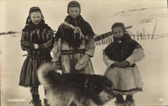 VINTAGE POSTCARD Lappepiker Huskies